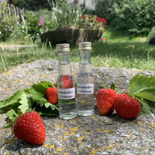 Steinboden Erdbeerschnaps von Elke